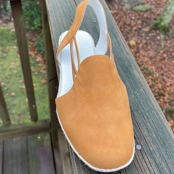 David Tate - Picture 3 of 5